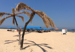 Пляж-кемпинг «Оазис»