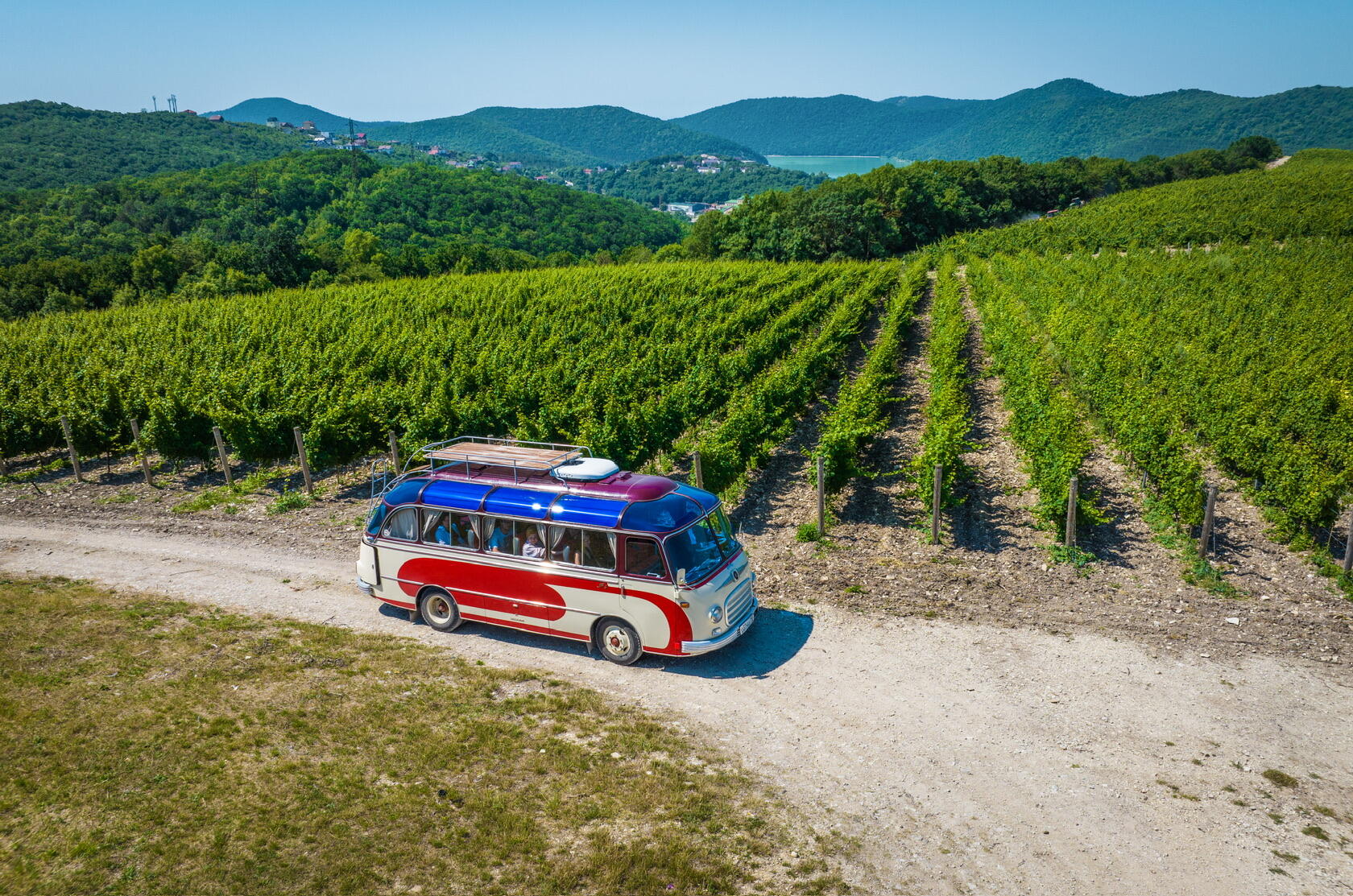 В рамках «Черноморской винной недели» для туристов будут бесплатно работать кубанские винодельни