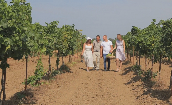 Винодельческое хозяйство «Южная винная компания»