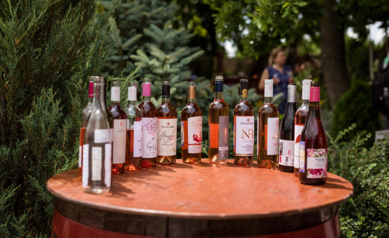 Фестиваль летних вин «ЦВЕТ ЛОЗЫ» 2024