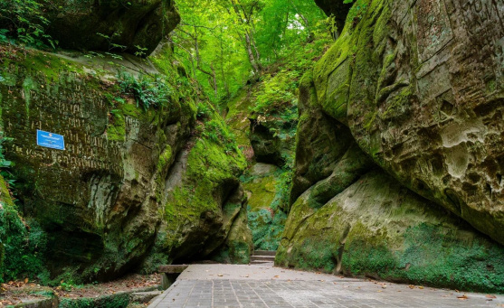 Дыхание гор: канатная дорога и парк в Горячем Ключе