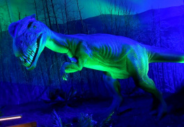 Музей «Выставка роботизированных динозавров»